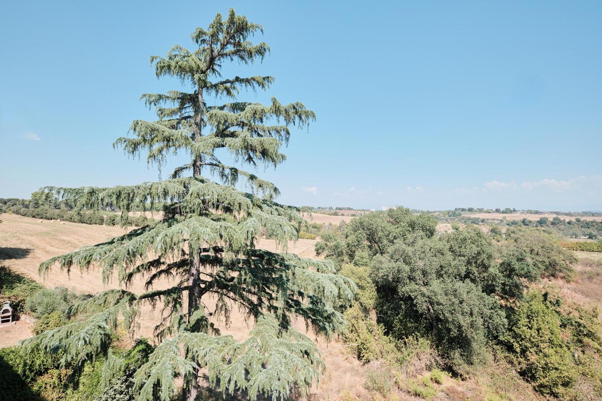 Due Con Vista A - Zona Cassia Rom